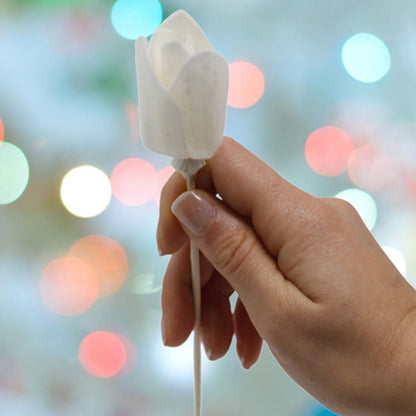 Difusor de Flores Naturales - Tulipán en Caña