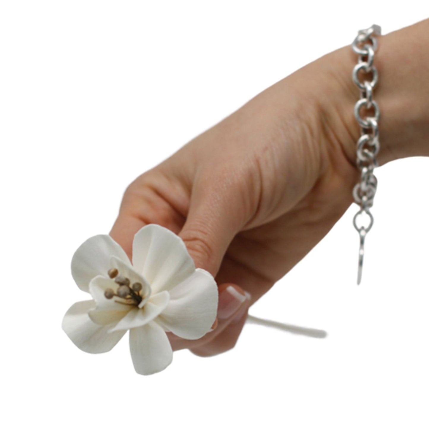 Difusor de Flores Naturales - Lirio en Caña