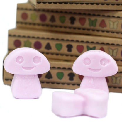 Caja de 6 ceras de Soja - Ylang Ylang